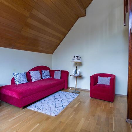 Vila Pinul Si Mesteacanul Пояна-Брашов Екстер'єр фото