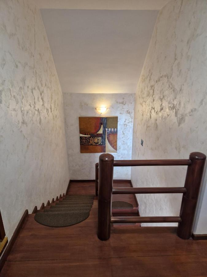 Vila Pinul Si Mesteacanul Пояна-Брашов Екстер'єр фото